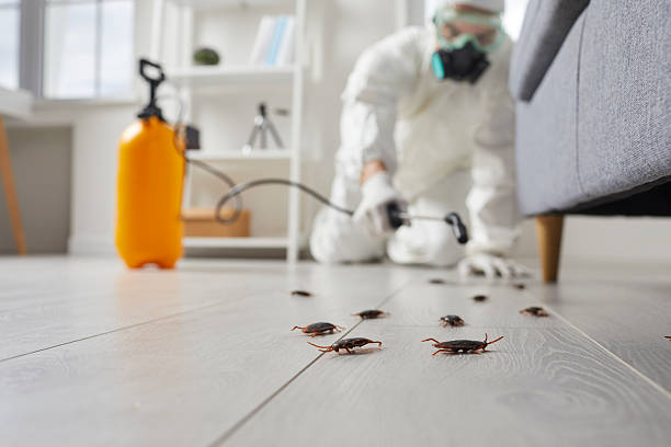 Trusted Fumigation Services service in Darby, PA - Nex Pest Control